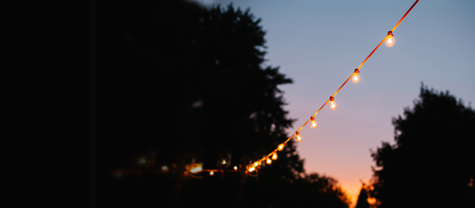 A chain of decorative lighting in an open garden